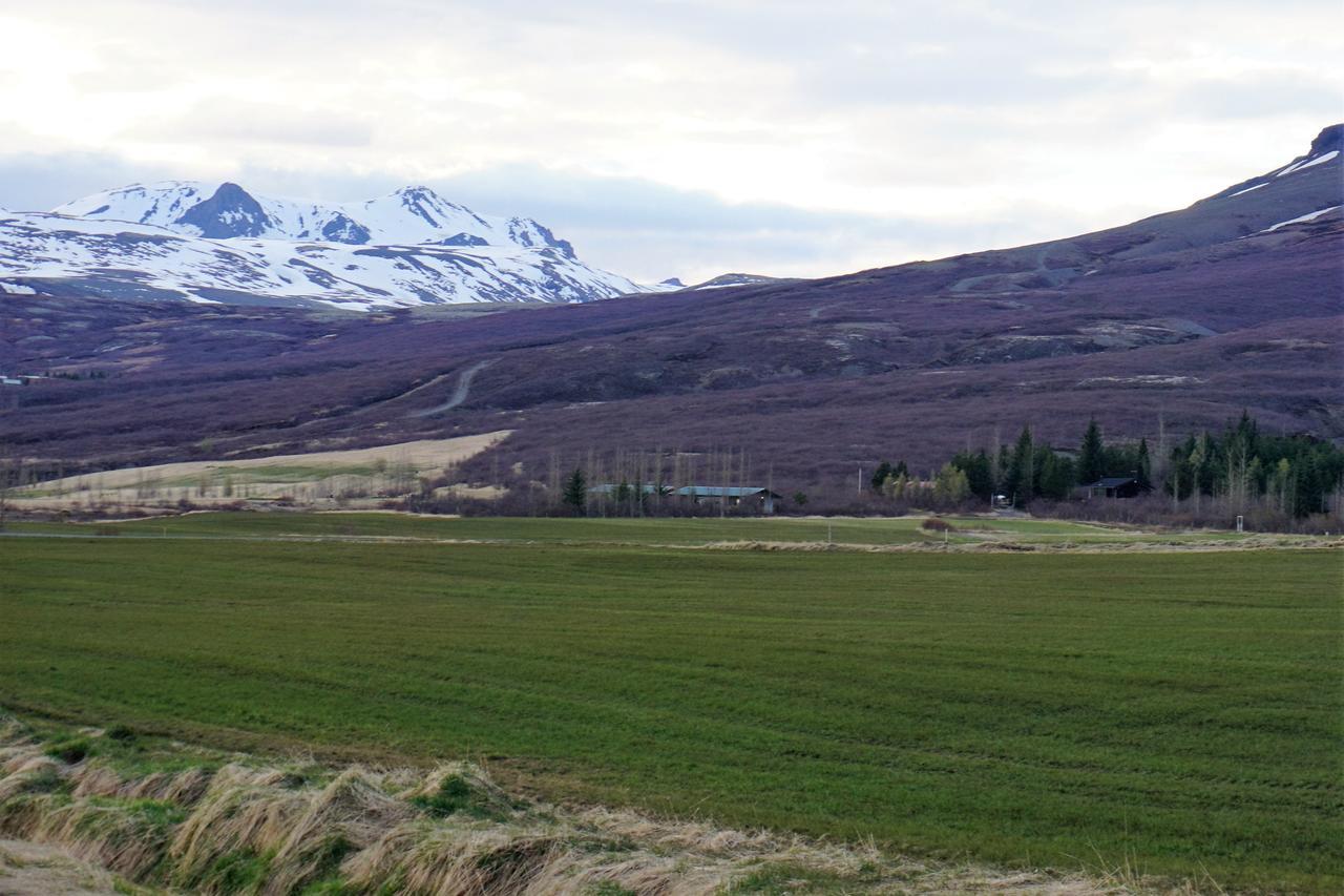 Middalskot Cottages Laugarvatn Exterior foto